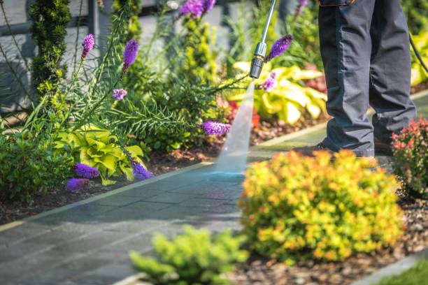 Best Restaurant Pressure Washing  in Grove City, OH